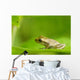 Young Spring Peeper On A Leaf Wall Mural