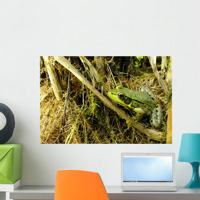 Green Frog Wall Mural shown on a wall