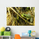 Green Frog Wall Mural