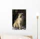 Grey Wolf In Ecomuseum Zoo Wall Mural