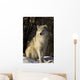 Grey Wolf In Ecomuseum Zoo Wall Mural
