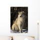Grey Wolf In Ecomuseum Zoo Wall Mural