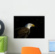Bald Eagle In Ecomuseum Zoo Wall Mural