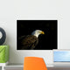 Bald Eagle In Ecomuseum Zoo Wall Mural
