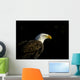 Bald Eagle In Ecomuseum Zoo Wall Mural