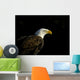 Bald Eagle In Ecomuseum Zoo Wall Mural