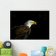 Bald Eagle In Ecomuseum Zoo Wall Mural