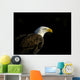 Bald Eagle In Ecomuseum Zoo Wall Mural
