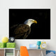 Bald Eagle In Ecomuseum Zoo Wall Mural
