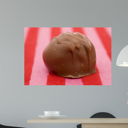 Shutterstock Bigstock Wall Mural