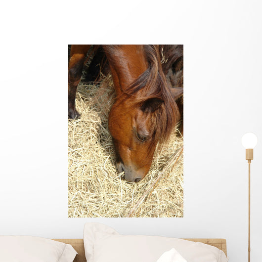 Cheval Marron