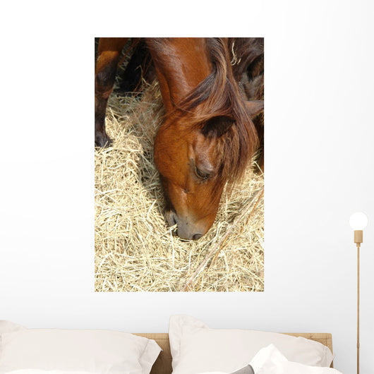 Cheval Marron
