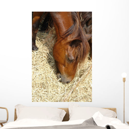 Cheval Marron