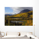 Mountains In Autumn Colour Along The Haines Highway Wall Mural