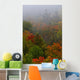 Autumn Colours In The Mist In Cottage Country Wall Mural