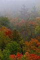 Autumn Colours In The Mist In Cottage Country Wall Mural