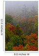 Autumn Colours In The Mist In Cottage Country Wall Mural