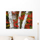 Birch Trees Surrounded By Red Maple Leaves In Algonquin Park Wall Mural