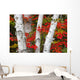 Birch Trees Surrounded By Red Maple Leaves In Algonquin Park Wall Mural