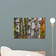Aspen Trees Surrounded By Colourful Autumn Leaves Wall Mural