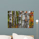 Aspen Trees Surrounded By Colourful Autumn Leaves Wall Mural