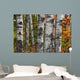 Aspen Trees Surrounded By Colourful Autumn Leaves Wall Mural