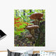 A Cluster Of Mushrooms On A Stump In Algonquin Provincial Park Wall Mural