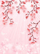 Japanese Cherry Blossom Wall Mural