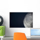 The Moon Wall Mural
