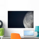 The Moon Wall Mural