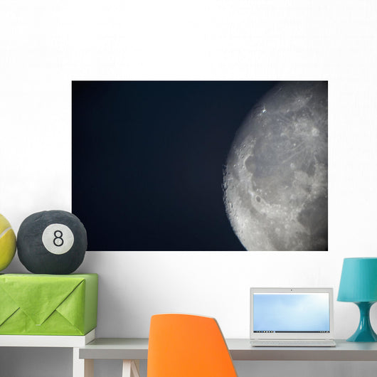 The Moon Wall Mural