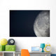 The Moon Wall Mural