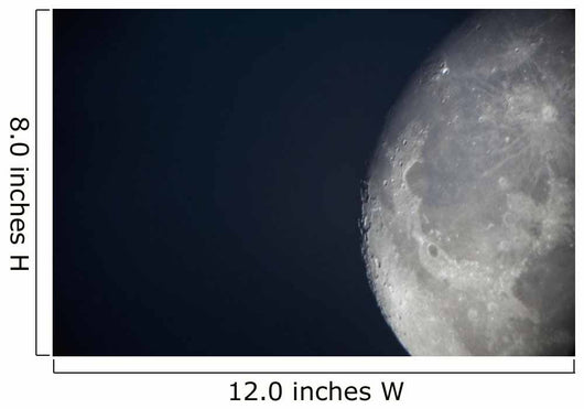 The Moon Wall Mural