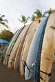Surfboards Standing Up Against A Rack On The Beach Wall Mural