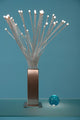 Picture Lampand Glass Ball