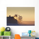 Sunlight Shining Behind A House In A Rural Area Wall Mural
