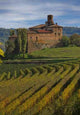 Castle Barolo Piedmont Wall Decal