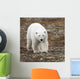 A Polar Bear Walking On The Tundra Wall Mural
