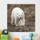 A Polar Bear Walking On The Tundra Wall Mural
