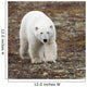 A Polar Bear Walking On The Tundra Wall Mural