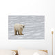 A Polar Bear Walking On The Frozen Hudson Bay Wall Mural