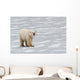A Polar Bear Walking On The Frozen Hudson Bay Wall Mural