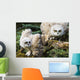 Baby Great Horned Owls Wall Mural