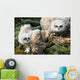 Baby Great Horned Owls Wall Mural