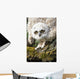Baby Great Horned Owl Wall Mural