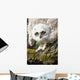 Baby Great Horned Owl Wall Mural