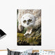 Baby Great Horned Owl Wall Mural