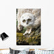 Baby Great Horned Owl Wall Mural