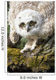 Baby Great Horned Owl Wall Mural