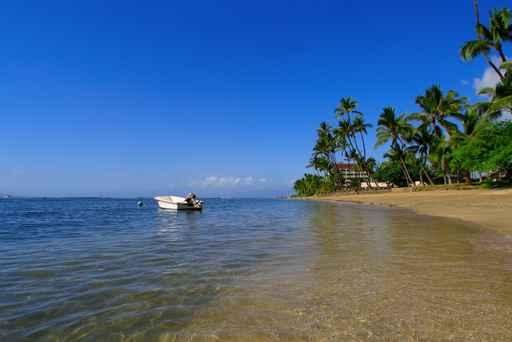 Tropical Beach Scene Wall Decal